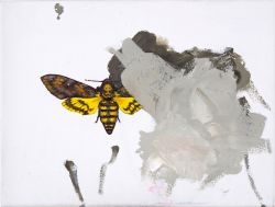 Aa, 2020 I Öl auf Leinwand I 18 x 24 cm | Privatsammlung, Süddeutschland